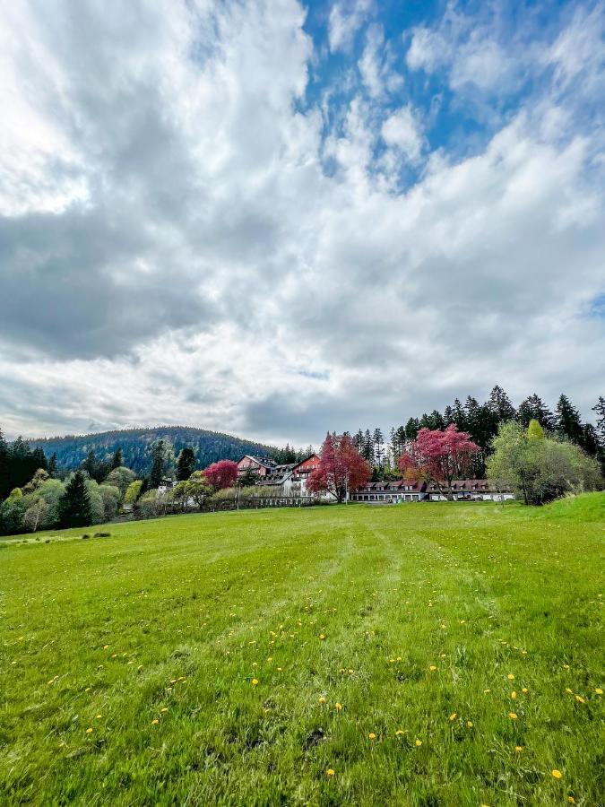 Železná RudaProkopアパートメント エクステリア 写真